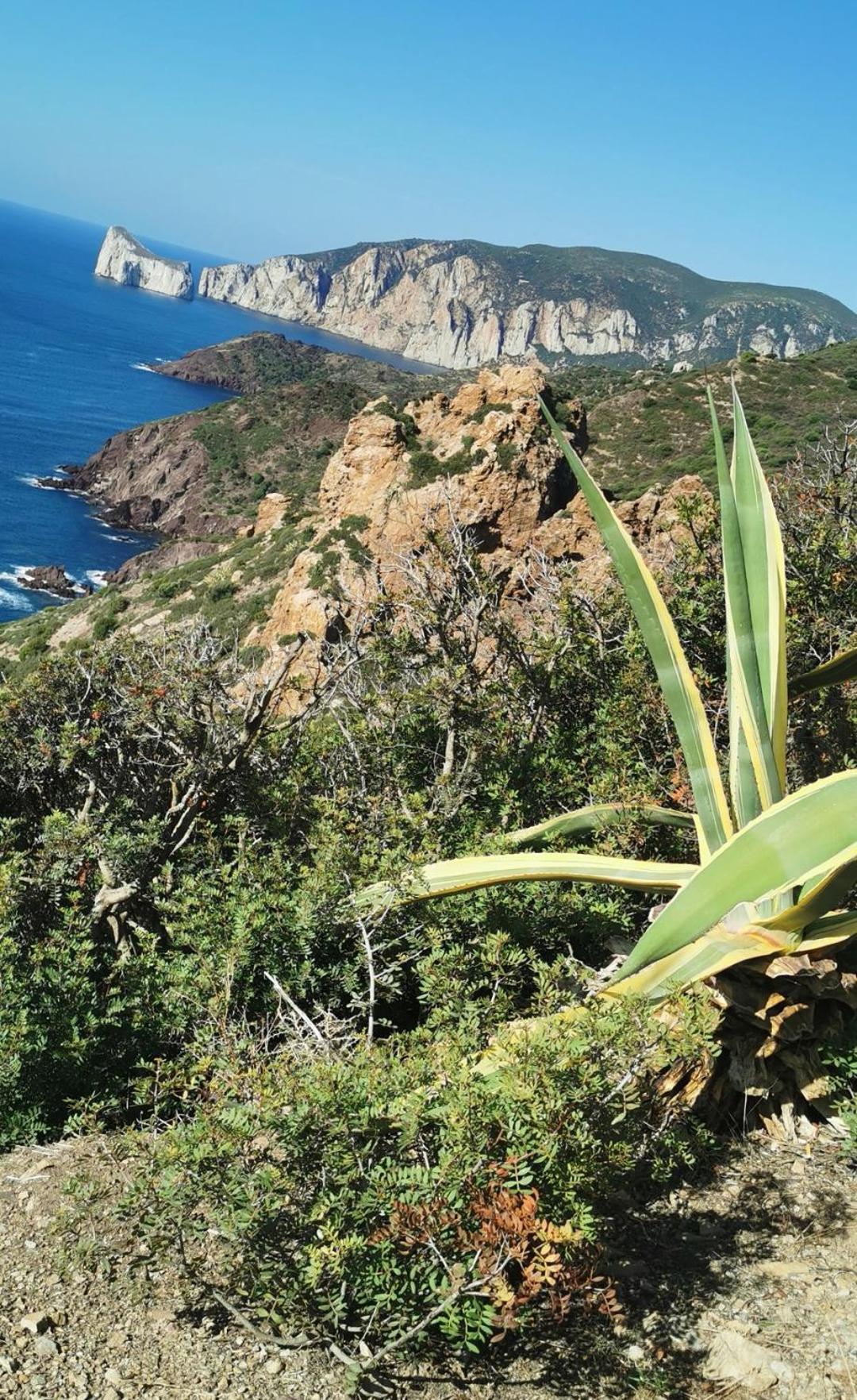 La Mariposa Villa Iglesias Kültér fotó